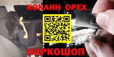 стаф Лесосибирск