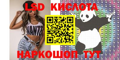 прущие грибы Бердск